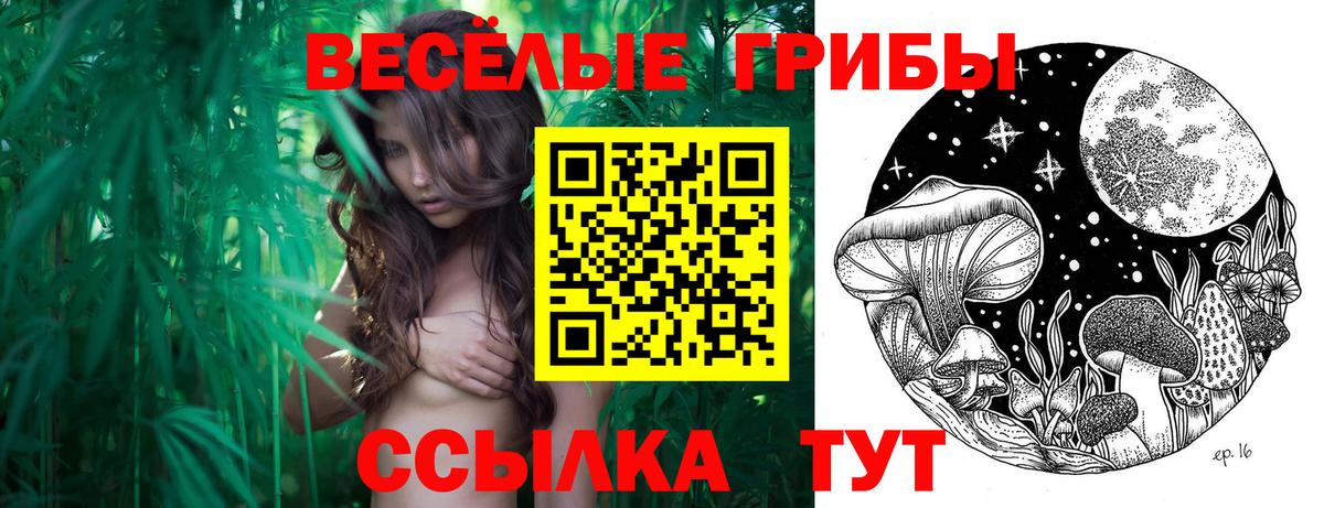 Псилоцибиновые грибы мухоморы Мурино
