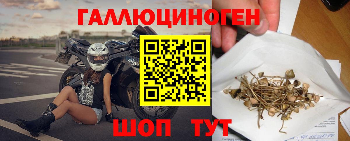 Псилоцибиновые грибы Magic Shrooms  Вход с VPN  Мурино 